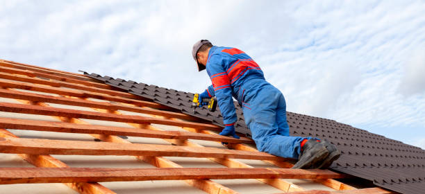 Best Roof Maintenance and Cleaning  in Cottonwood, MN