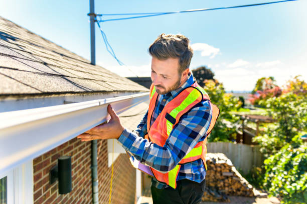 Best Roof Moss and Algae Removal  in Cottonwood, MN
