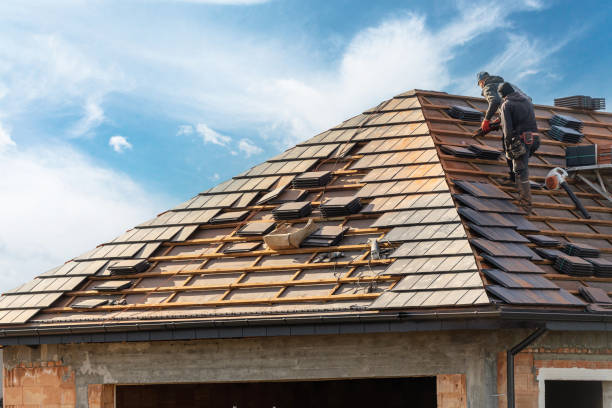 Best Skylight Installation and Repair  in Cottonwood, MN